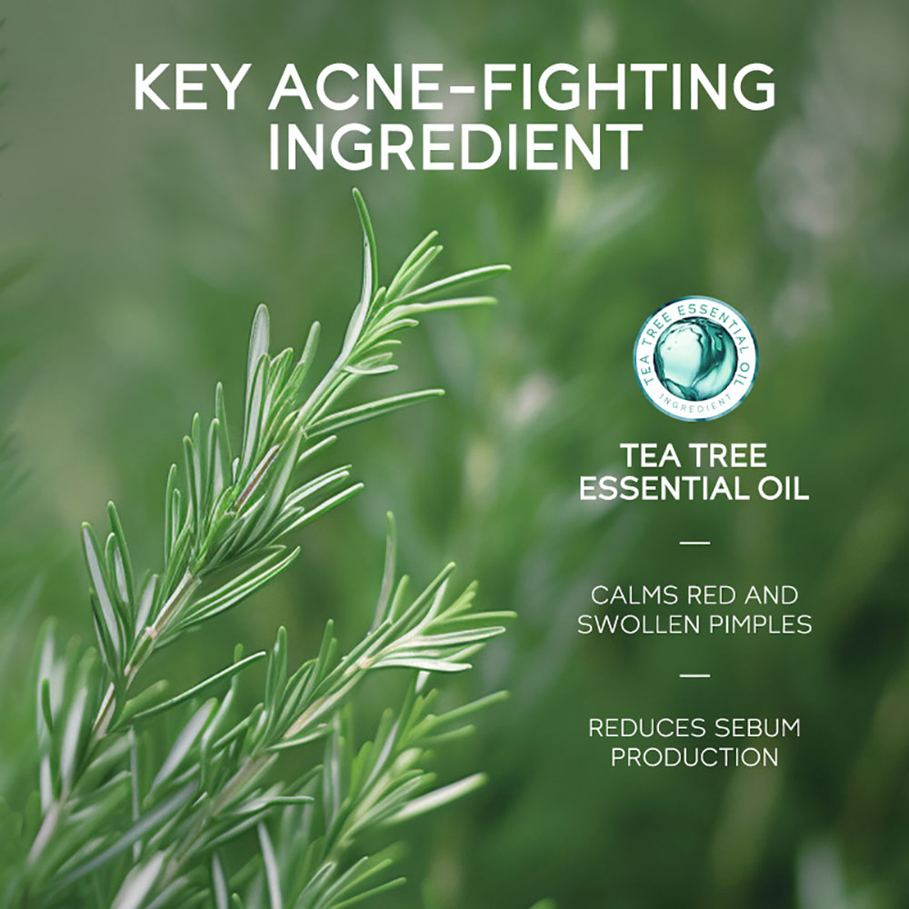 Gel anti-acné à l'arbre à thé  - Tea Tree Spot Treatment avis et prix