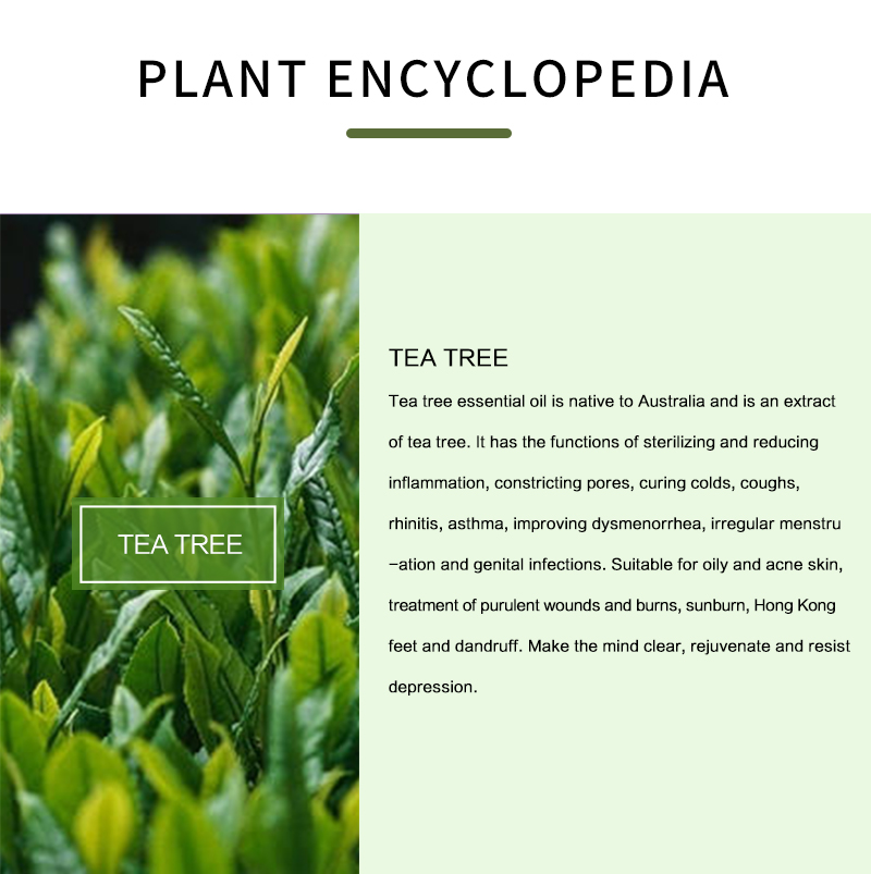 Huile essentielle d'arbre à th - Tea Tree Spot Treatment avis et prix